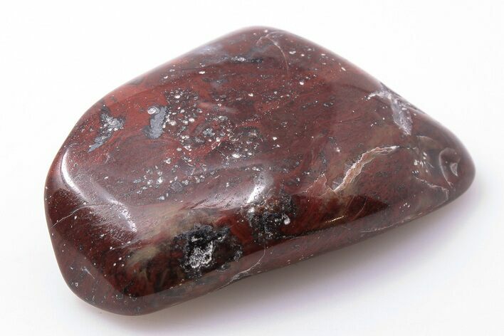 1.3" Polished Stromatolite (Collenia) - Minnesota